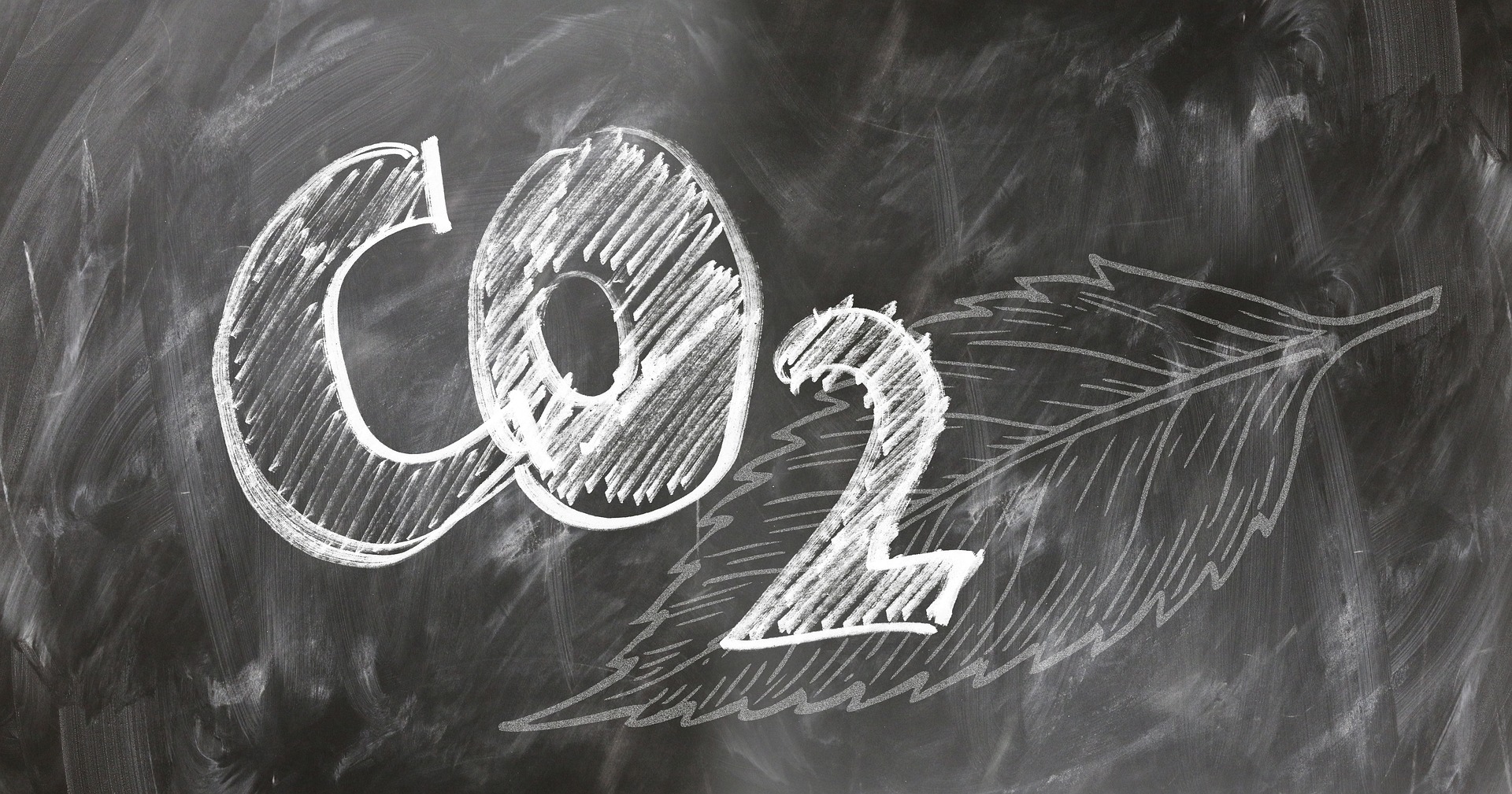 Dessin en noir et blanc avec une feuille d'un arbre et le mot CO2